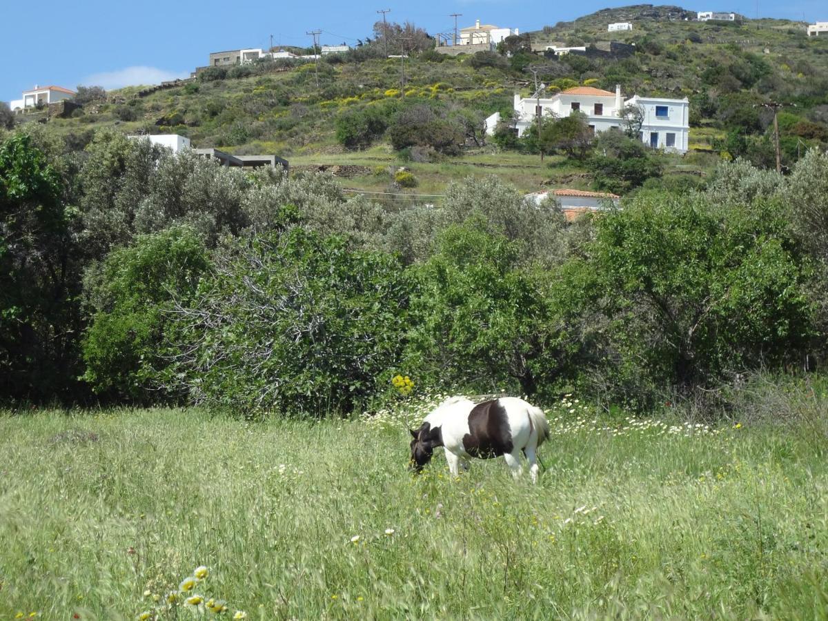 House In The Grass Land. Villa Ormos  Exterior photo